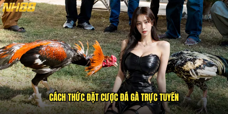 Cách Thức Đặt Cược Đá Gà Trực Tuyến