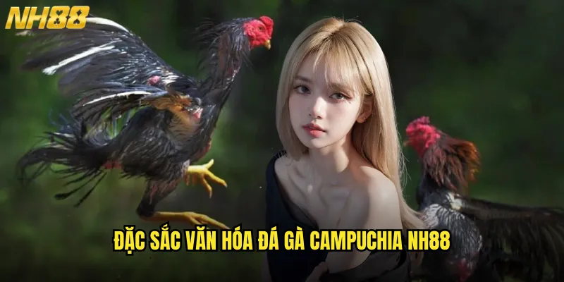 Đặc Sắc Văn Hóa Đá Gà Campuchia NH88