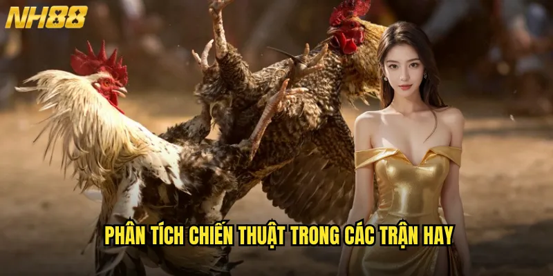 Phân Tích Chiến Thuật Trong Các Trận Hay