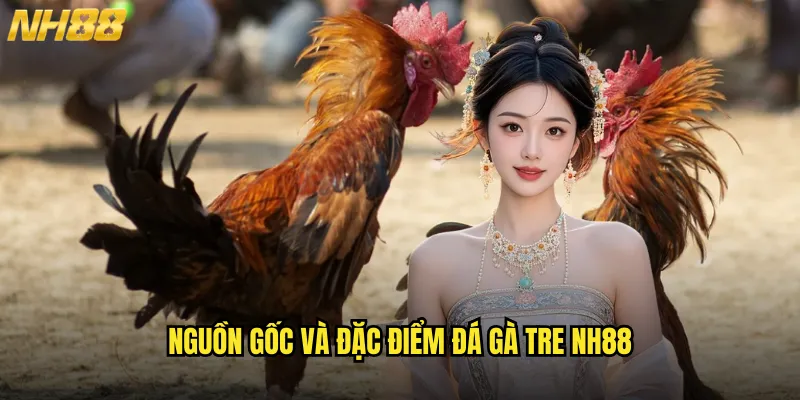 Đá Gà Tre NH88: Thể Loại Đá Kê Với Sức Hấp Dẫn Độc Đáo 2 Nguồn Gốc Và Đặc Điểm Đá Gà Tre NH88