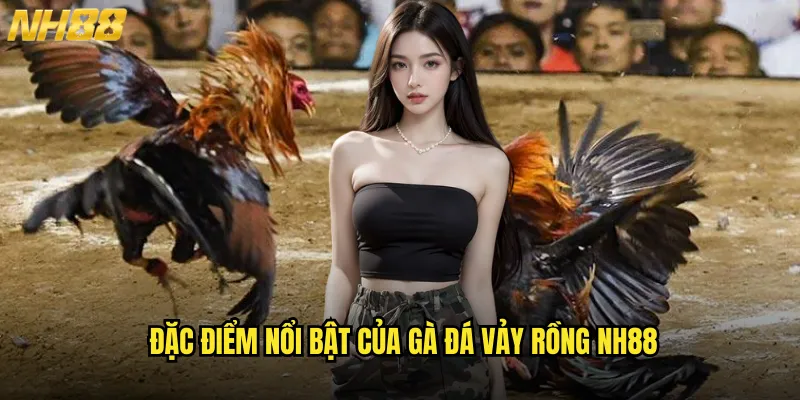 Gà Đá Vảy Rồng NH88 Giống Gà Chiến Huyền Thoại Với Sức Mạnh Thần Thánh 2 Đặc Điểm Nổi Bật Của Gà Đá Vảy Rồng NH88