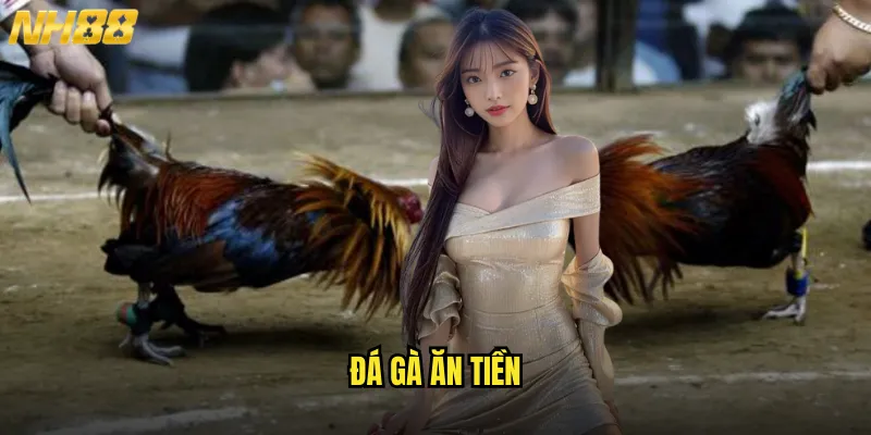 đá gà ăn tiền