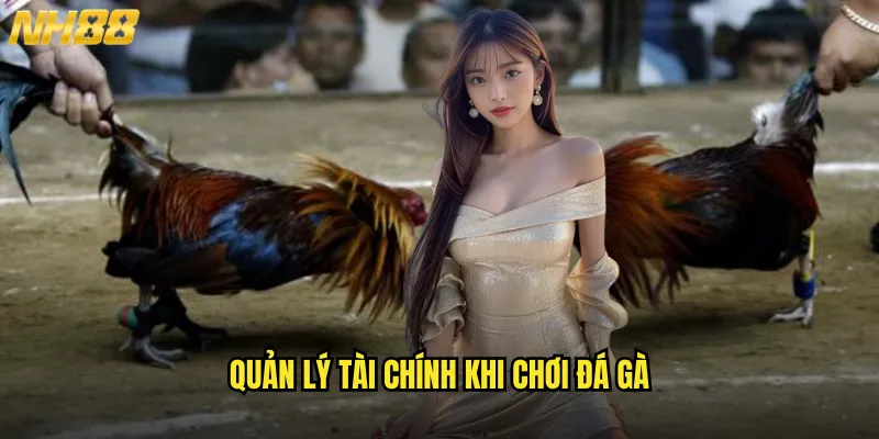 Đá Gà Ăn Tiền NH88 Bí Kíp Kiếm Lời Từ Passion Đá Gà Chuyên Nghiệp 3 Quản Lý Tài Chính Khi Chơi Đá Gà