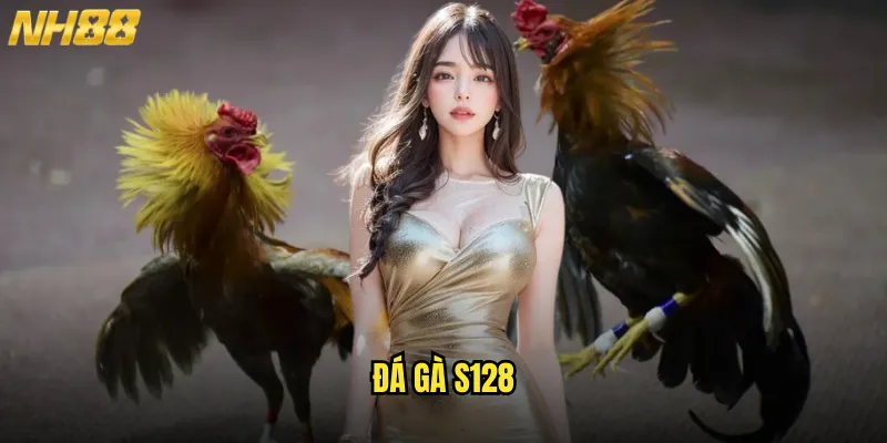 Đá gà S128