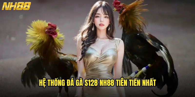 Hệ Thống Đá Gà S128 NH88 Tiên Tiến Nhất