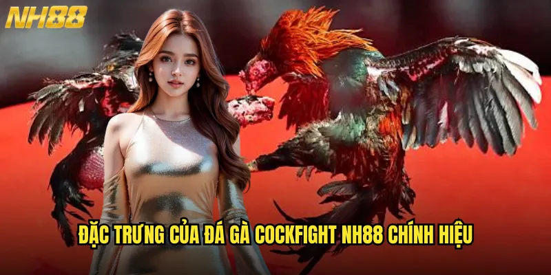 Đặc Trưng Của Đá Gà Cockfight NH88 Chính Hiệu