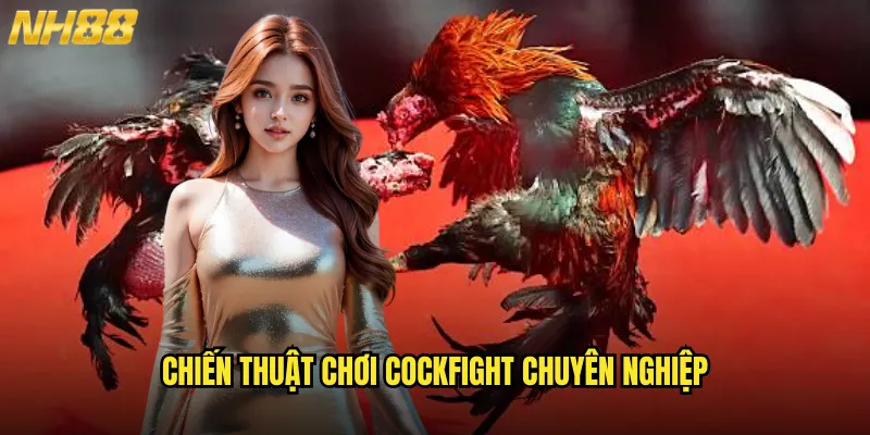 Chiến Thuật Chơi Cockfight Chuyên Nghiệp
