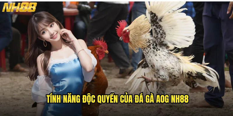 Tính Năng Độc Quyền Của Đá Gà AOG NH88