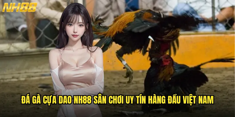 Đá gà cựa dao NH88 sân chơi uy tín hàng đầu Việt Nam