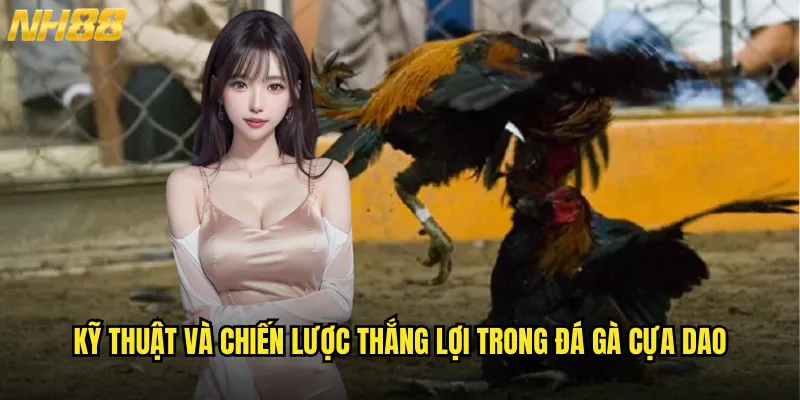 Kỹ thuật và chiến lược thắng lợi trong đá gà cựa dao