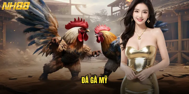 Đá gà Mỹ