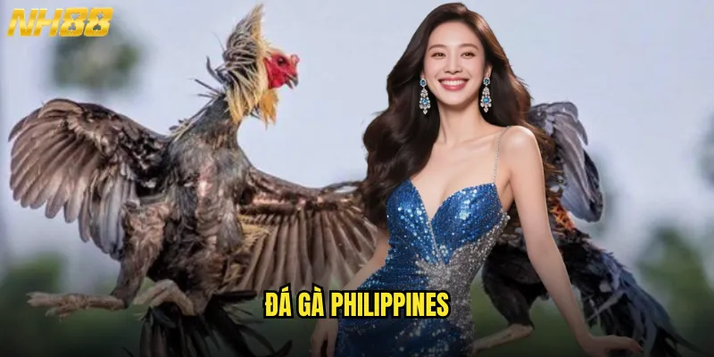 Đá gà Philippines